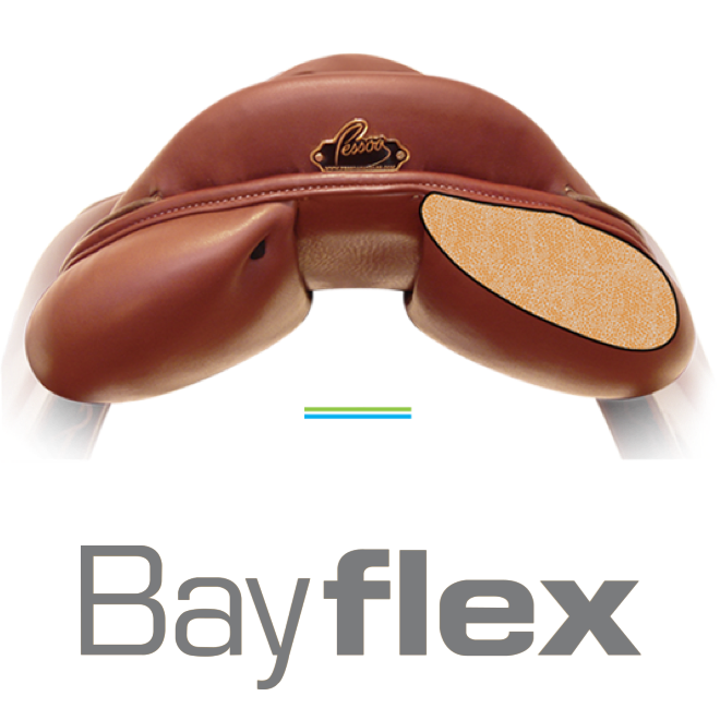 Bayflex Icon@2x